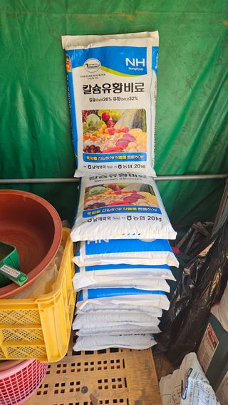 솔로매 소운농장님의 자유주제 · 자유게시판 작성글 사진