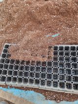 조경준님의 자유주제·자유게시판 작성글 사진