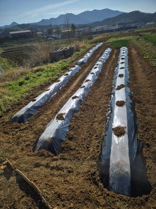 조위래님의 자유주제 · 자유게시판 작성글 사진