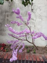 연향님의 자유주제·자유게시판 작성글 사진