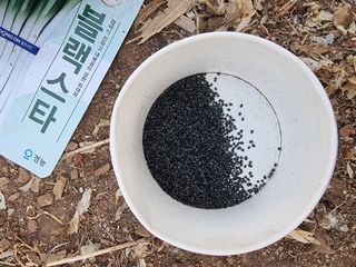 조경준님의 자유주제·자유게시판 작성글 사진