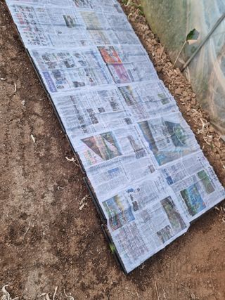 조경준님의 자유주제 · 자유게시판 작성글 사진