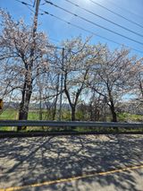 김영진(전남영광)님의 자유주제·자유게시판 작성글 사진