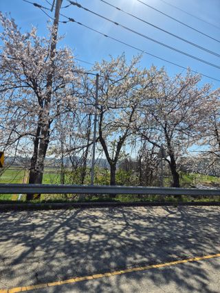 김영진(전남영광)님의 자유주제 · 자유게시판 작성글 사진