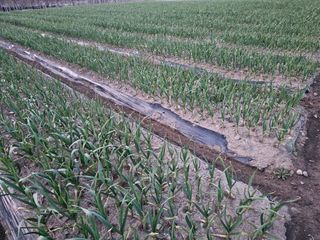 백용기님의 자유주제·자유게시판 작성글 사진