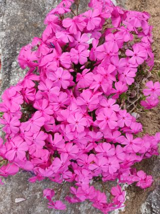 연향님의 자유주제 · 자유게시판 작성글 사진