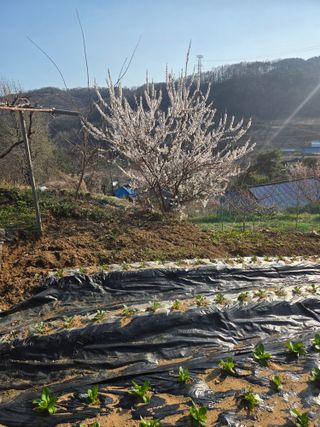 동동이님의 자유주제·칭찬해요 작성글 사진