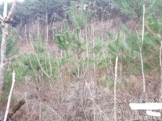 이유영님의 자유주제 · 자유게시판 작성글 사진