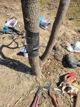 김용대님의 자유주제·자유게시판 작성글 사진