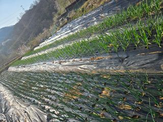 동동이님의 자유주제 · 칭찬해요 작성글 사진