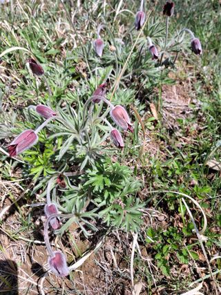 MSG0074님의 자유주제 · 자유게시판 작성글 사진