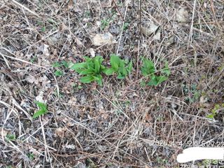 이유영님의 자유주제 · 자유게시판 작성글 사진