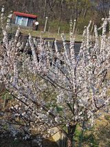 동동이님의 자유주제·칭찬해요 작성글 사진