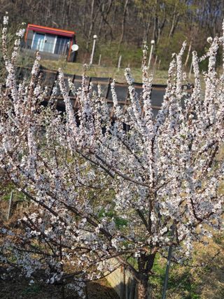 동동이님의 자유주제 · 칭찬해요 작성글 사진