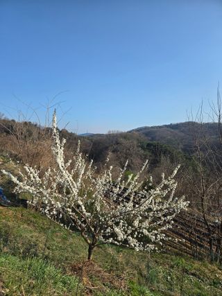 동동이님의 자유주제 · 칭찬해요 작성글 사진