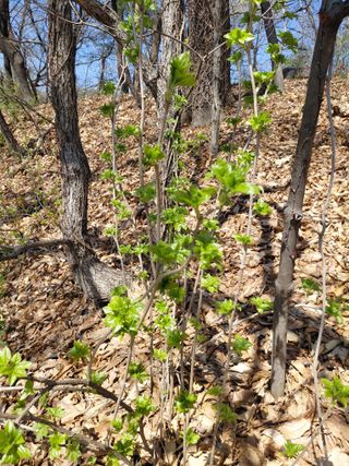 좋은인연원님의 자유주제 · 자유게시판 작성글 사진