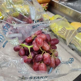 조한솔님의 자유주제 · 자유게시판 작성글 사진