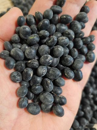 5도2촌님의 자유주제 · 자유게시판 작성글 사진