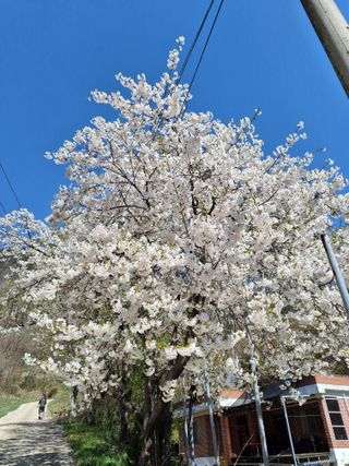 MSG0074님의 자유주제 · 자유게시판 작성글 사진