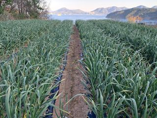 윤형곤님의 자유주제 · 자유게시판 작성글 사진