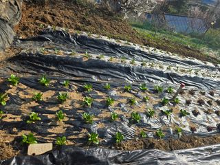 동동이님의 자유주제 · 칭찬해요 작성글 사진