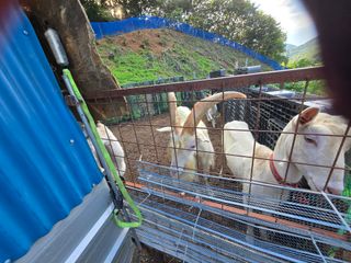 농지임대법님의 자유주제 · 자유게시판 작성글 사진