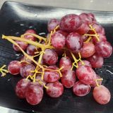 팜모닝 자유주제·자유게시판 게시글 이미지