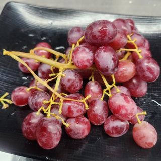 조한솔님의 자유주제 · 자유게시판 작성글 사진