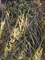 경희아짐님의 자유주제·자유게시판 작성글 사진