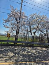 팜모닝 자유주제·자유게시판 게시글 이미지