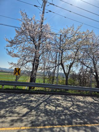 김영진(전남영광)님의 자유주제·자유게시판 작성글 사진