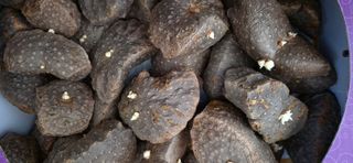 소녀시대(중구)님의 자유주제 · 자유게시판 작성글 사진