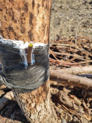 김용대님의 자유주제 · 자유게시판 작성글 사진