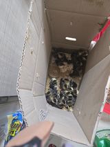 팜모닝 자유주제·자유게시판 게시글 이미지