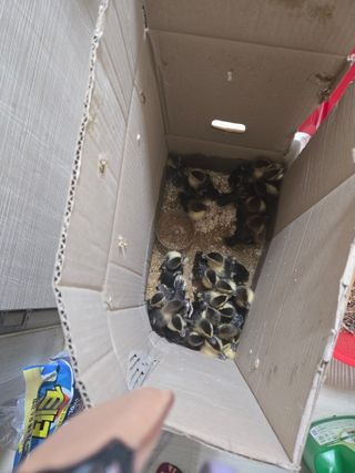 농지임대법님의 자유주제 · 자유게시판 작성글 사진