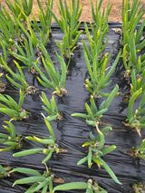 서곤님의 자유주제·자유게시판 작성글 사진