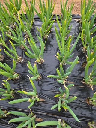 서곤님의 자유주제 · 자유게시판 작성글 사진