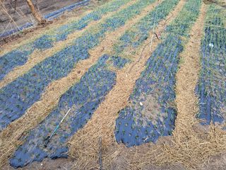 이연화님의 자유주제 · 자유게시판 작성글 사진