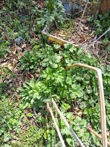 Ksg1399님의 자유주제·자유게시판 작성글 사진