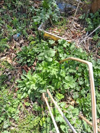 Ksg1399님의 자유주제 · 자유게시판 작성글 사진