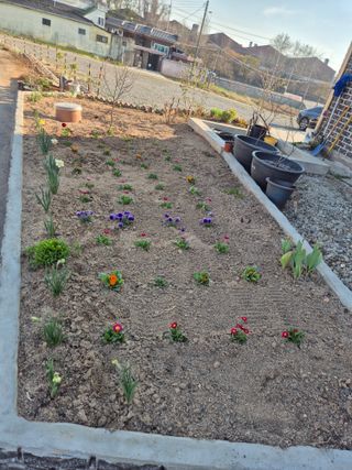 송명식님의 자유주제 · 자유게시판 작성글 사진