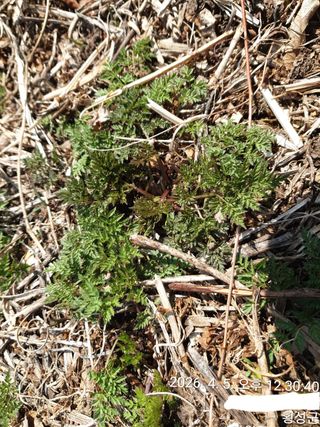 이유영님의 자유주제 · 자유게시판 작성글 사진