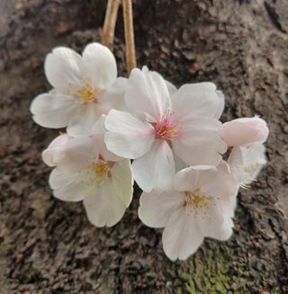 연향님의 자유주제 · 자유게시판 작성글 사진