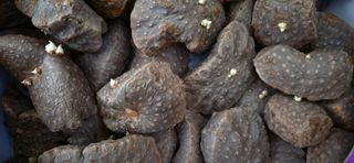 소녀시대(중구)님의 자유주제 · 자유게시판 작성글 사진