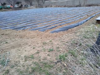 이연화님의 자유주제 · 자유게시판 작성글 사진