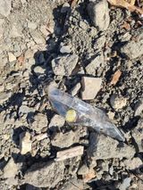 김용대님의 자유주제·자유게시판 작성글 사진