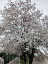 연향님의 자유주제·자유게시판 작성글 사진