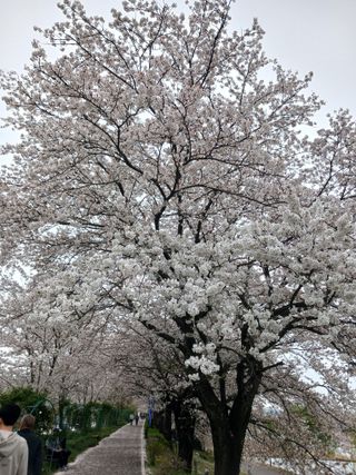 연향님의 자유주제 · 자유게시판 작성글 사진