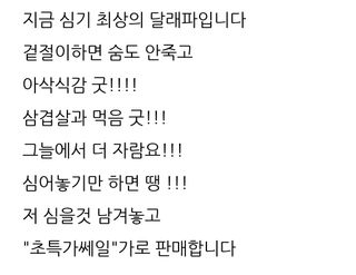 삼성농산님의 파 · 자유게시판 작성글 사진