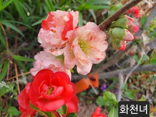김재열님의 작성글 사진